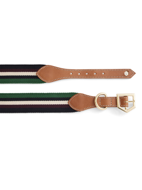 The Boston - Dog Collar - Tan Leather & Striped Webbing