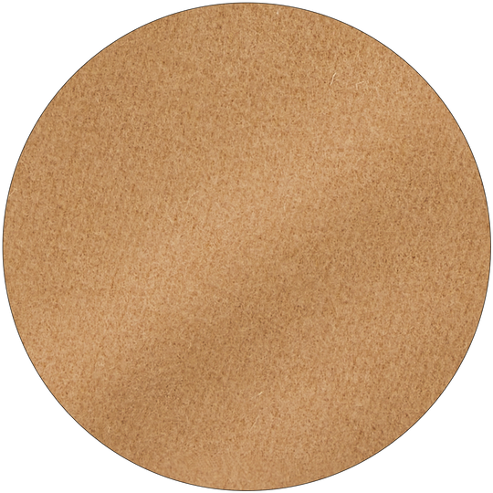 biscuit