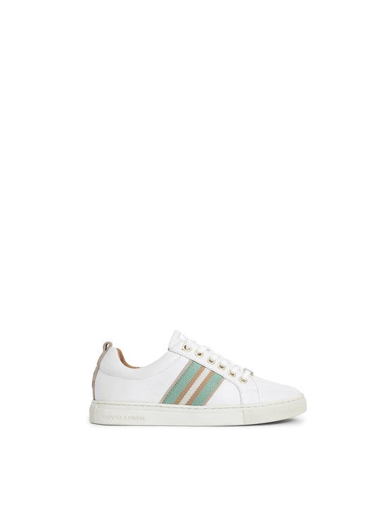The Boston - Women's Trainers - White Leather & Mint & Stone Webbing