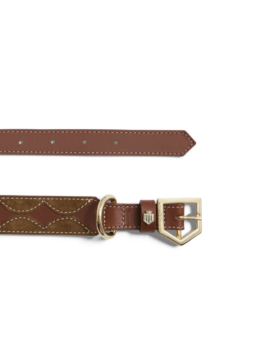 The Ohio - Dog Collar - Tan Leather