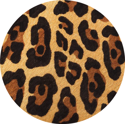 leopard
