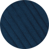 navy Swatch image