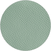 mint Swatch image