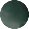 Darkest Spruce Swatch image